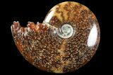 Polished, Agatized Ammonite (Cleoniceras) - Madagascar #94273-1